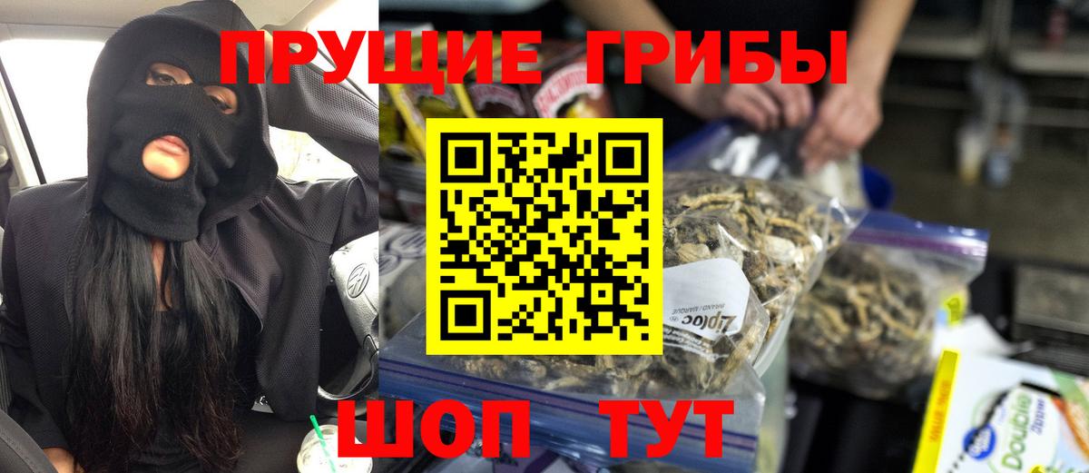 Псилоцибиновые грибы MAGIC MUSHROOMS  Псилоцибиновые грибы ЛСД  Богородск  Вход с VPN 